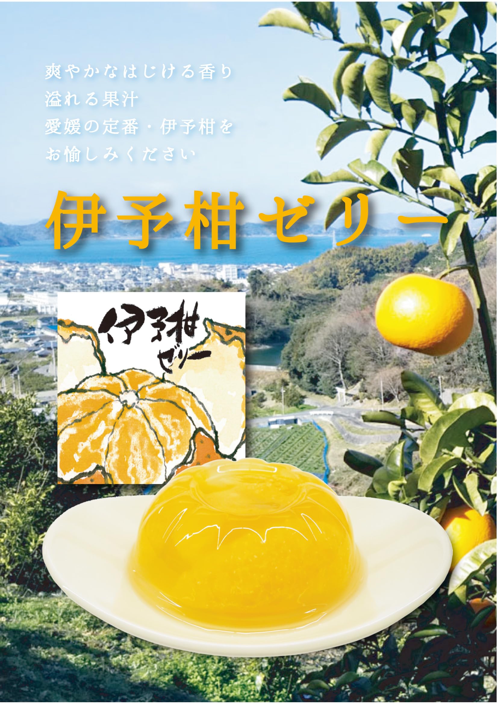 Amazon.co.jp: 瀬戸内しまなみ柑橘物語ゼリー 3種入り 紅まどんな